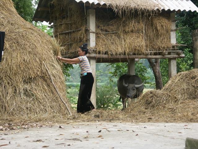 Urlaub in Vietnam 2007